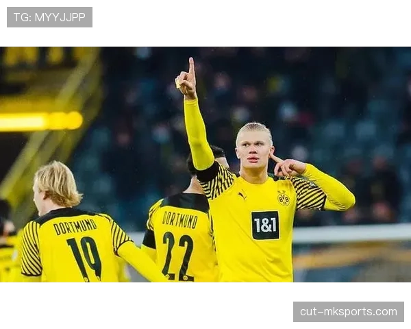 弗赖堡反击效率显著提升，稳健表现引发广泛关注