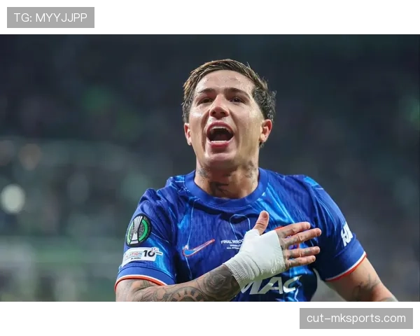 恩佐·费尔南德斯的世界杯冠军是否为其最高荣誉 恩佐·费尔南德斯的世界杯冠军是否为其最高荣誉