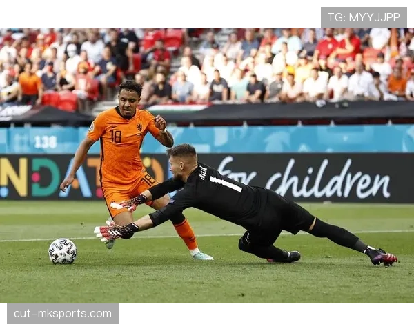 马伦比赛阅读能力解析