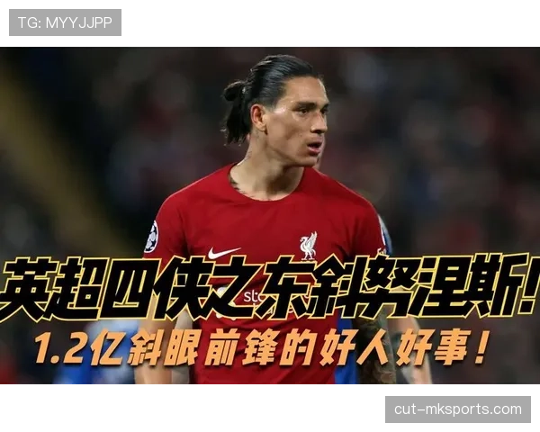 努涅斯与卢卡库：身体型前锋的终结效率差异与战术适配机制分析